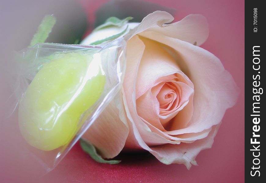 Macro of pink rose and heart shape candy with soft filter. Macro of pink rose and heart shape candy with soft filter