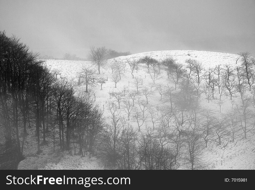 Fog Landscape At Winter