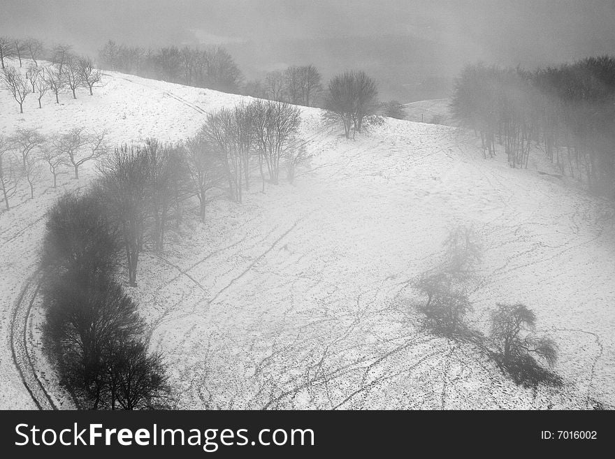 Fog Landscape with tree's in Mountain at winter. Fog Landscape with tree's in Mountain at winter