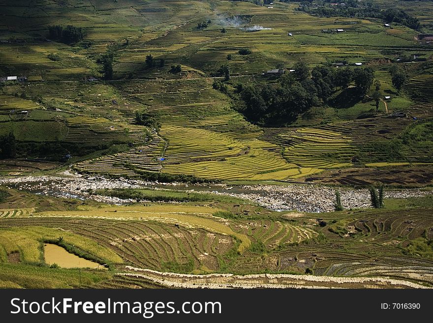 Rice terraces and river