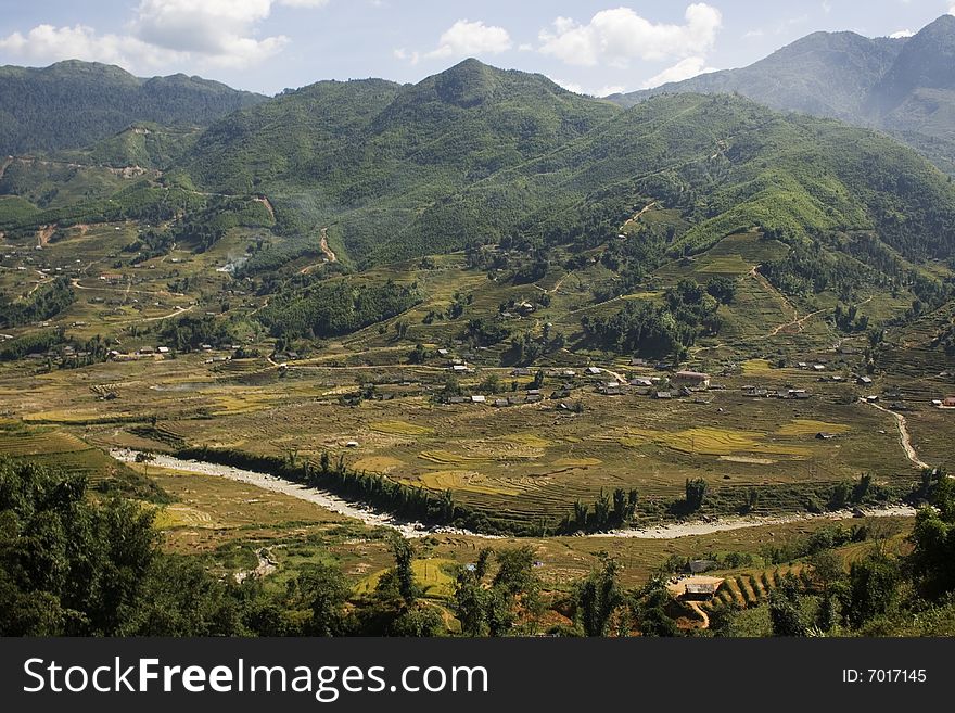 This photo is from Sapa, Vietnam.  The terraces are used to grow rice.  The golden colour shows that it's harvest time.  Rice terraces are used to conserve soil. This photo is from Sapa, Vietnam.  The terraces are used to grow rice.  The golden colour shows that it's harvest time.  Rice terraces are used to conserve soil