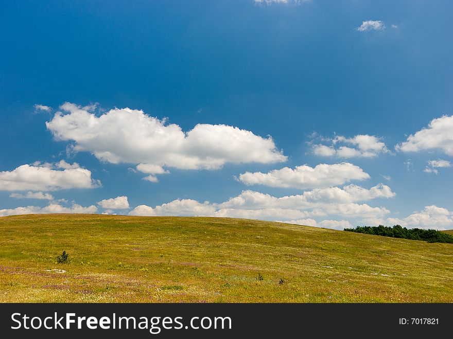 Meadow with beautiful cloudy sky above