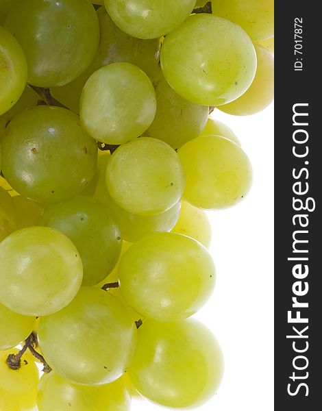 Green grapes on a white background. Green grapes on a white background.