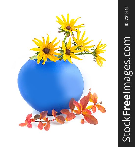 Camomiles yellow in blue vase on white background with an autumn branch. Camomiles yellow in blue vase on white background with an autumn branch