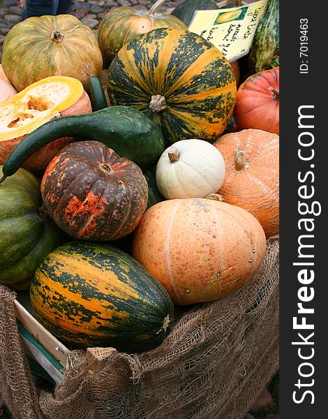 Colourful pumkins ready for sale. Colourful pumkins ready for sale.