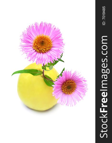 Two pink daisies and an apple isolated on white. Two pink daisies and an apple isolated on white.