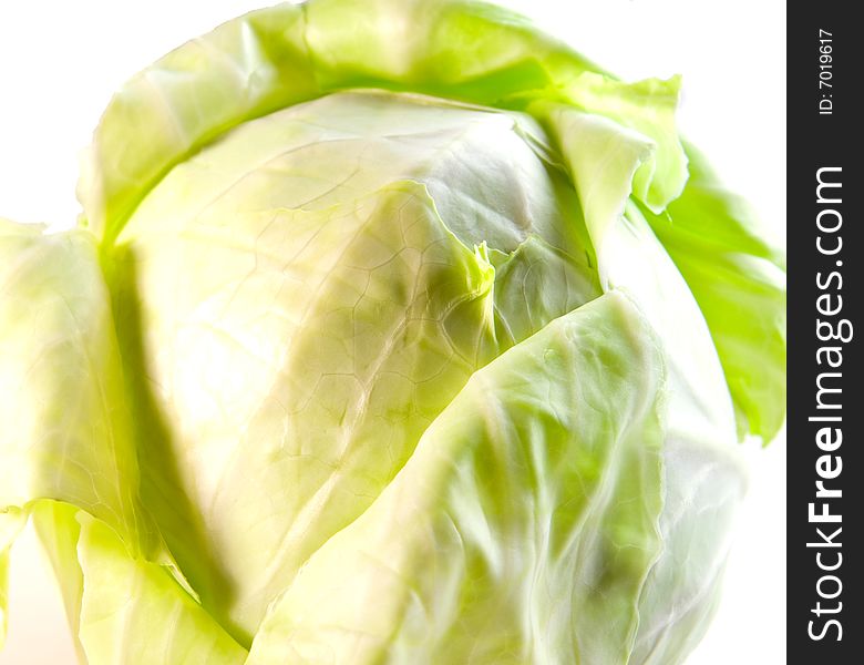 Tasty cabbage on white ground