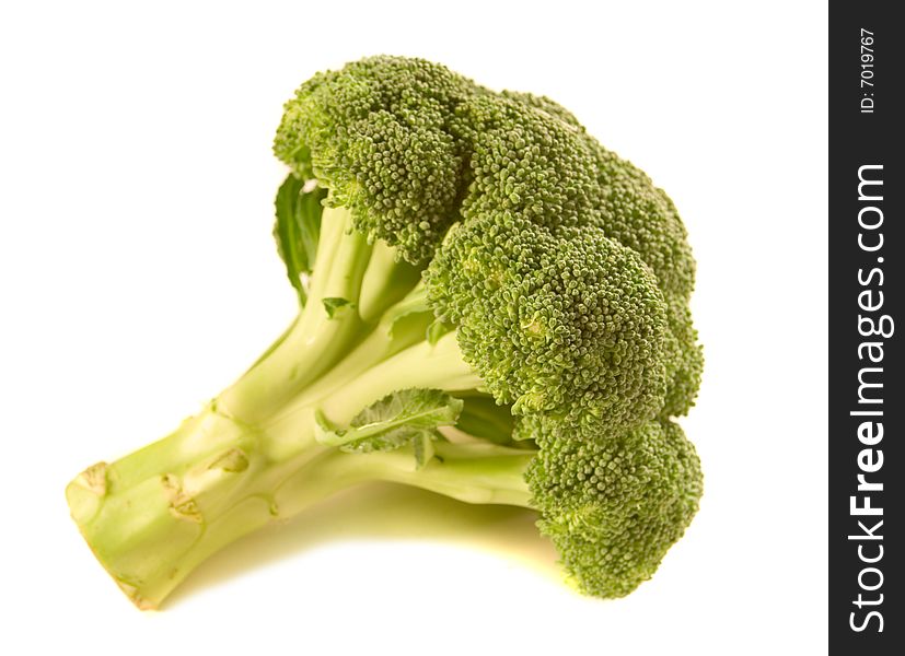 Broccoli floret on white ground