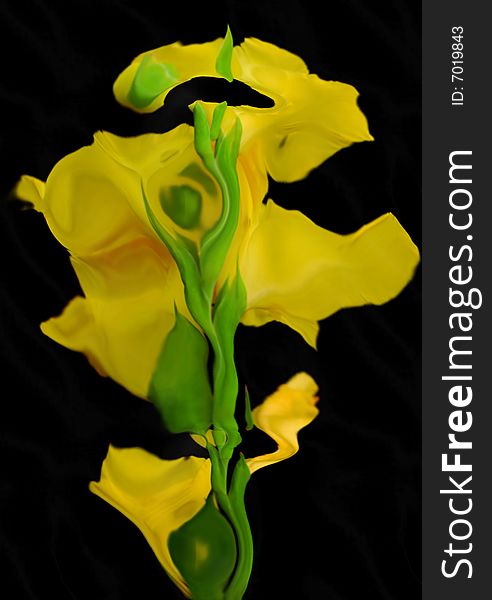 Yellow gladioluses are isolated apeak standings