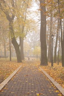 Autumn Park Royalty Free Stock Image Autumn Park Royalty Free Stock Image