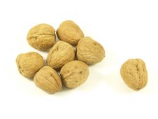 Walnuts,isolated Royalty Free Stock Image Walnuts,isolated Royalty Free Stock Image