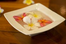 Flower Petals In A Bowl At A Spa Royalty Free Stock Image Flower Petals In A Bowl At A Spa Royalty Free Stock Image