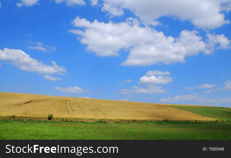 Field landscape with blue sky. Field landscape with blue sky