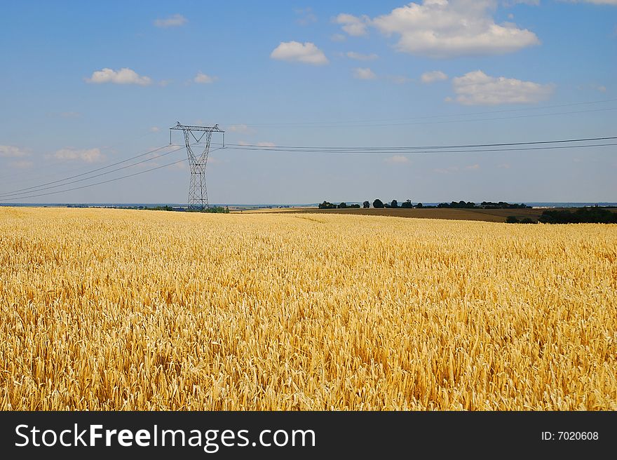 Field landscape with blue sky. Field landscape with blue sky