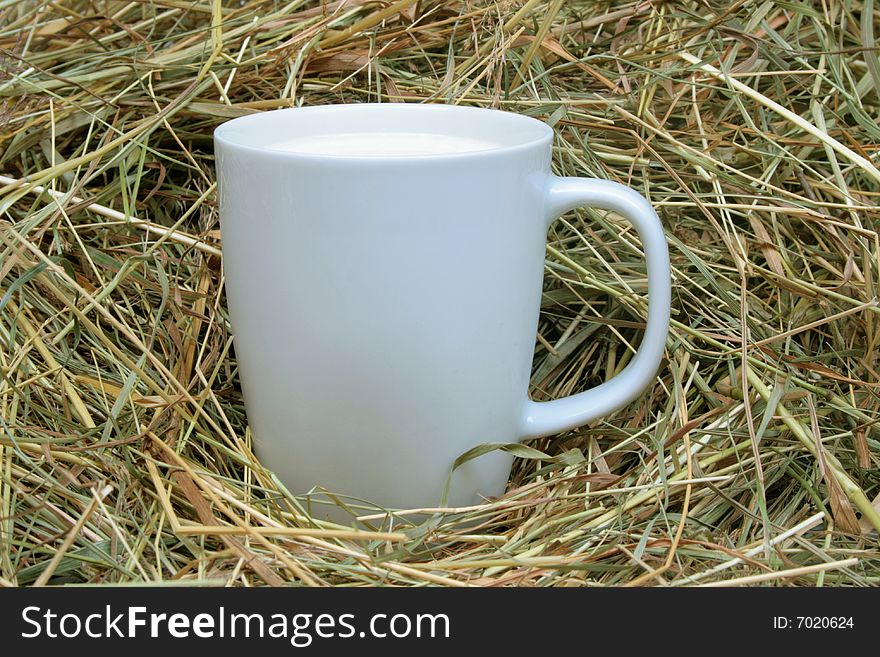 Cup of fresh milk in hay. Cup of fresh milk in hay.