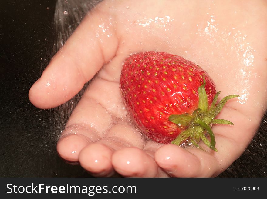 Washing strawberry in hands.Closeup. Washing strawberry in hands.Closeup.