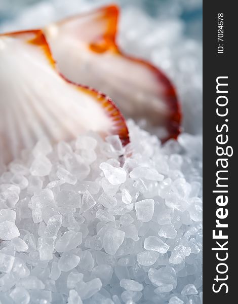 Heap of sea salt with a shellfish on background, shallow DOF