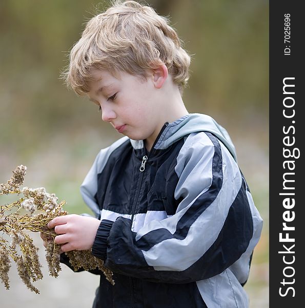 Cute child pensively examining goldenrod. Cute child pensively examining goldenrod.