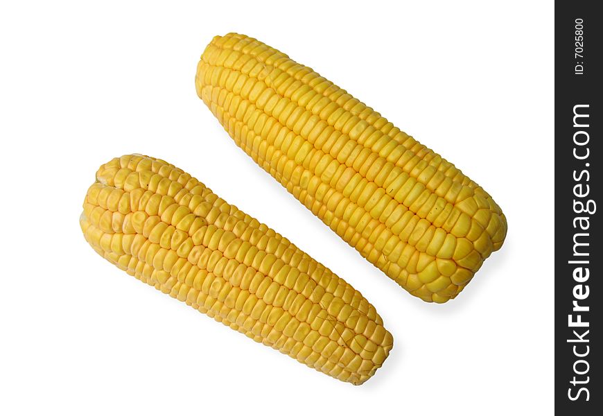 Corn On White Background