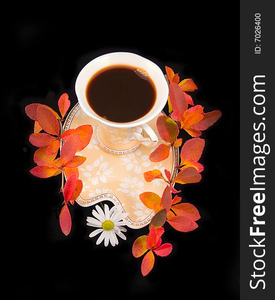 Camomile with cup of coffee on black background with autumn branches. Camomile with cup of coffee on black background with autumn branches