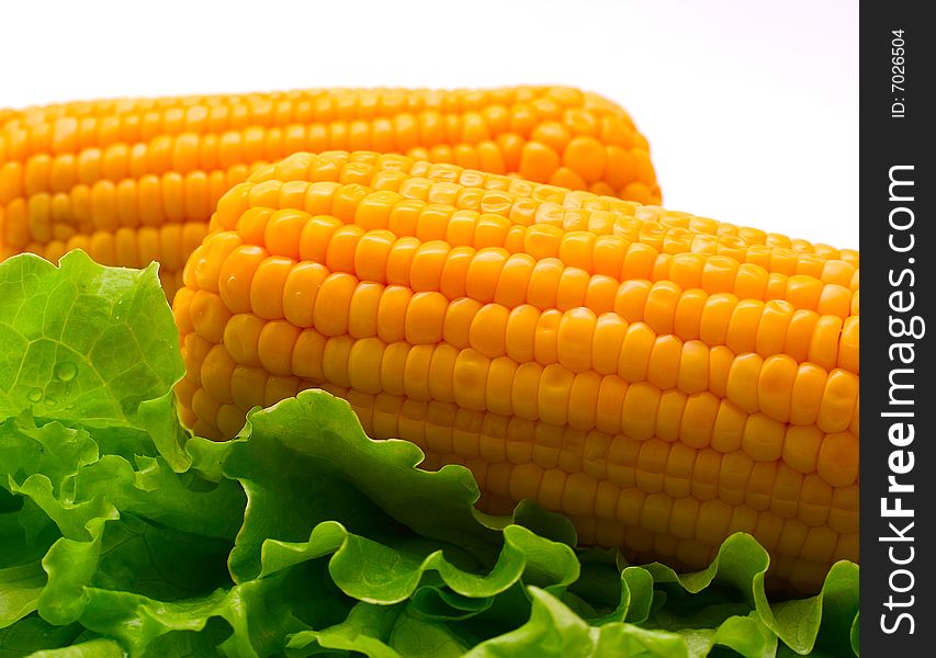 Ears of sweetcorn with leaves salad