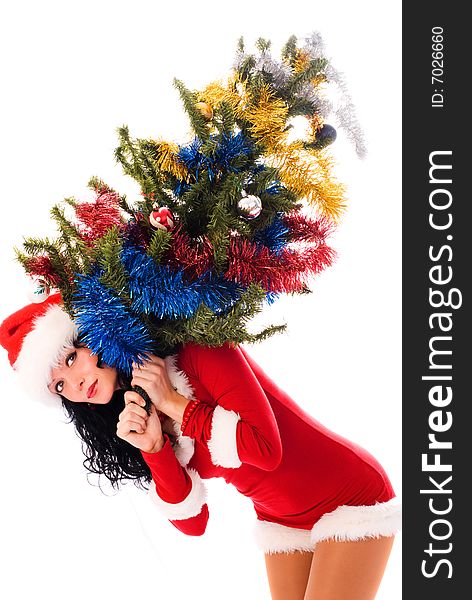 Beautiful young brunette woman carrying a Christmas tree isolated against white background. Beautiful young brunette woman carrying a Christmas tree isolated against white background