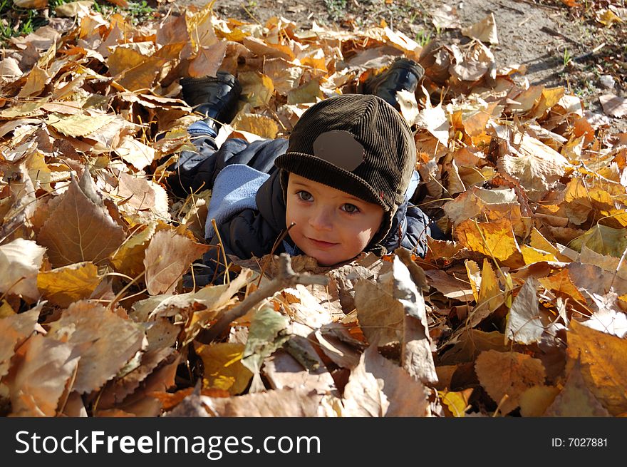 Boy in heap of fallen leaves. Boy in heap of fallen leaves