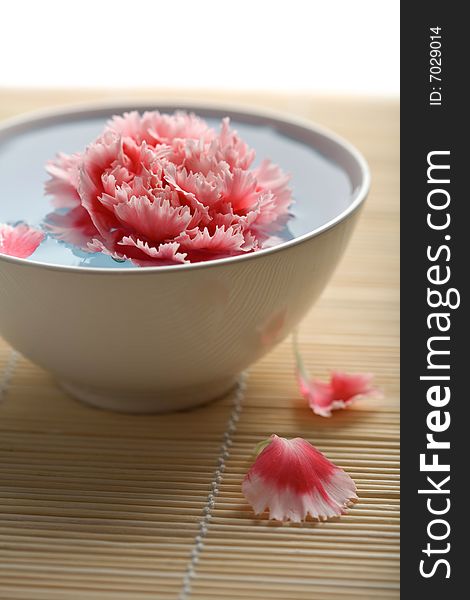 Flower floating in white bowl