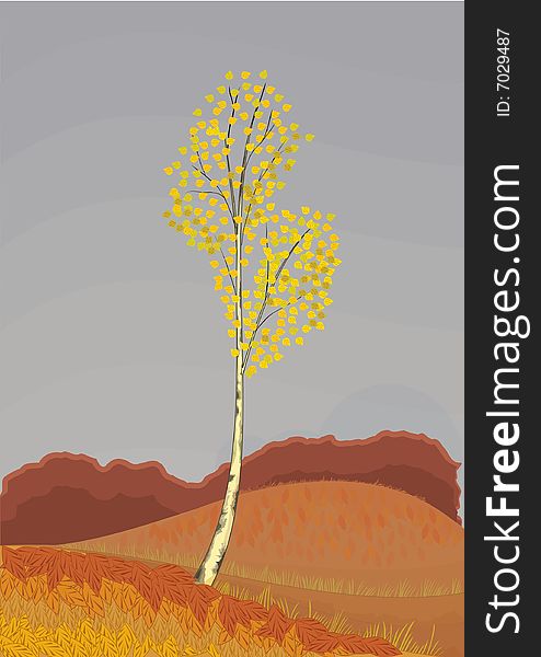 Birch autumn background, vector illustration