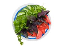 Vegetable Salad. Royalty Free Stock Photography Vegetable Salad. Royalty Free Stock Photography