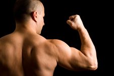 Young Muscular Man Flexing His Arm Stock Images