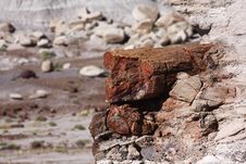 Petrified Forest NP Stock Photography Petrified Forest NP Stock Photography