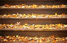 Fall Leaves On Steps Royalty Free Stock Photography Fall Leaves On Steps Royalty Free Stock Photography