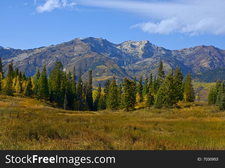 Mountain Meadow showing fall colors with blue sky and clouds. Mountain Meadow showing fall colors with blue sky and clouds