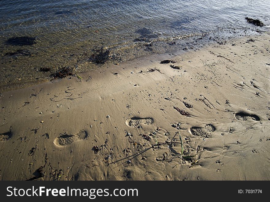 Coastline Shoe Prints. Shoe prints in the coastline sand in Denmark