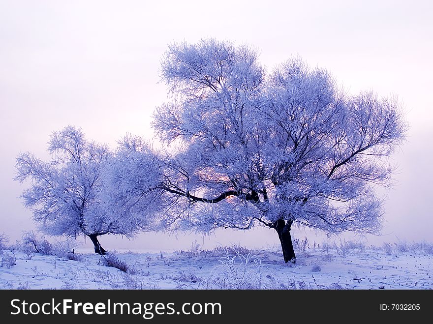 Rime in rime island Northeast China