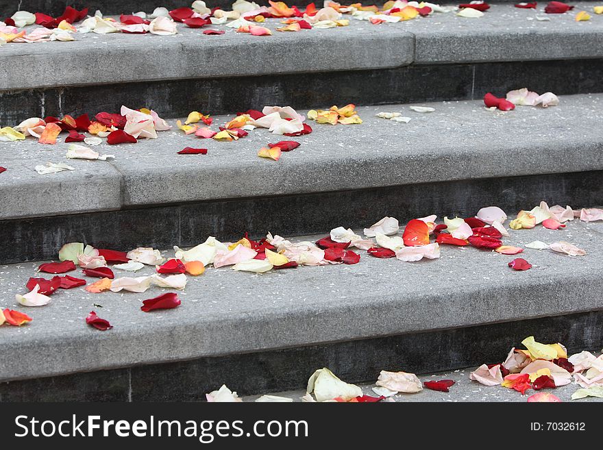 Grey stairs covered with rose leaves during the wedding