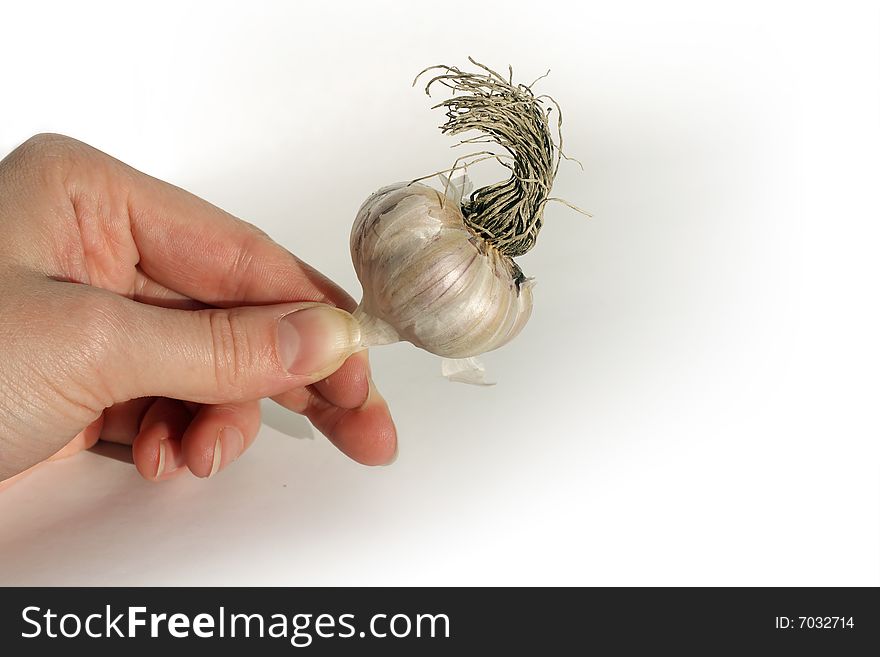 A woman's hand holding a funny garlic bulb. A woman's hand holding a funny garlic bulb