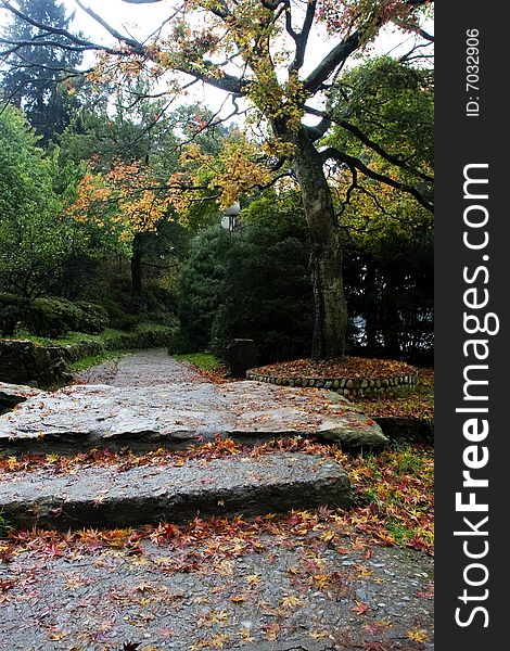 The Autumn Path Of Garden