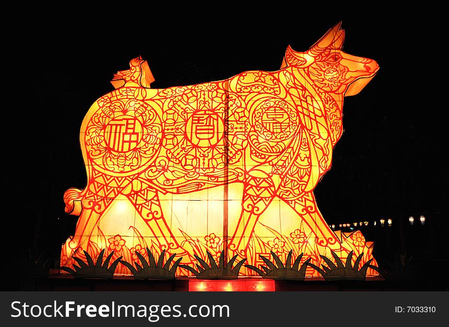 The chinese lantern of bull celebrating the coming of the traditional chinese lunar year of bull or cow.
