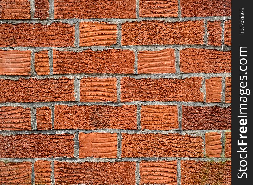 A brick wall being used as a background.