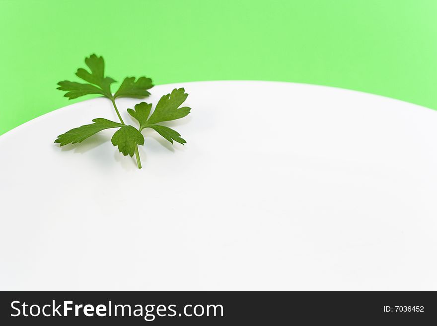 Green leaf on white background. Green leaf on white background.