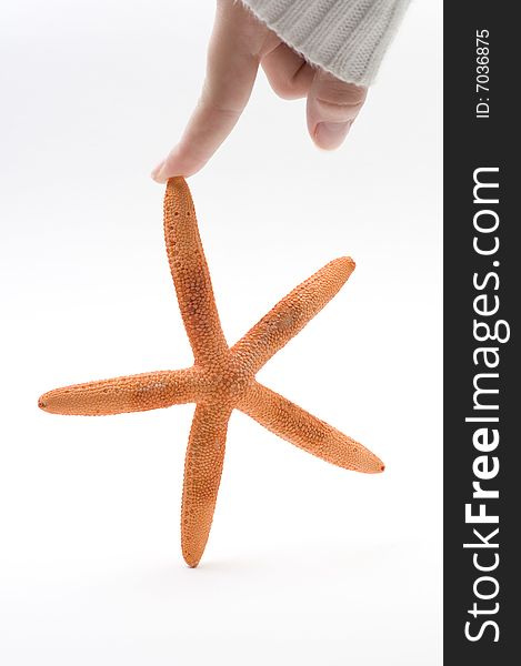 Great sea star isolated and human hand