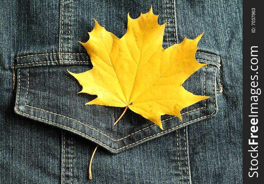 Pocket of a jeans jacket and autumn leaf closeup