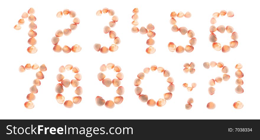 Shell numbers, white background isolated