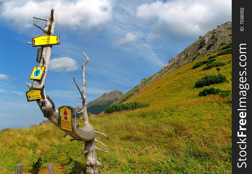 tourist guidepost on alpine meadow in mountains, blue sky and clouds as background. tourist guidepost on alpine meadow in mountains, blue sky and clouds as background