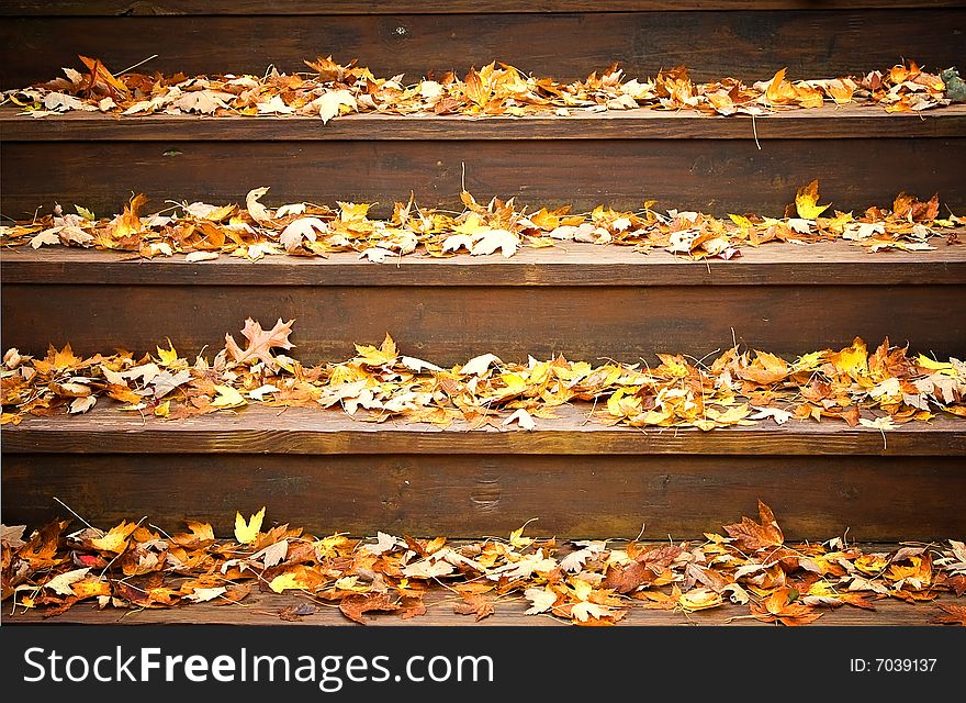 Fall Leaves On Steps