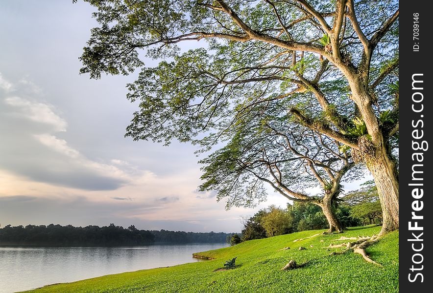 An empty wrought iron park bench on the grassy banks of a lake under a large tree at sunset. An empty wrought iron park bench on the grassy banks of a lake under a large tree at sunset