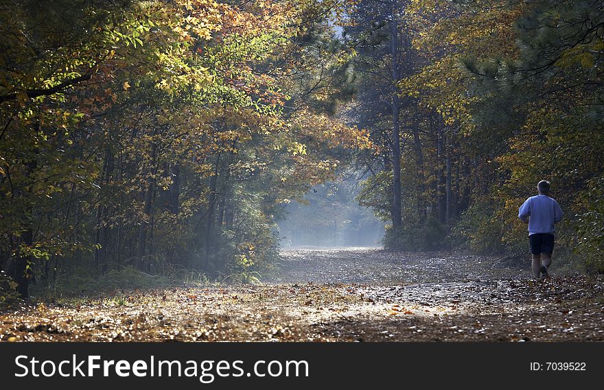 A picture of sunlight falling on a fall trail as a man runs