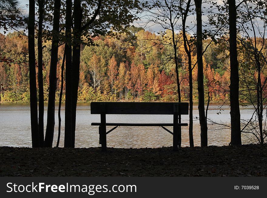 A picture of fall trees and water. A picture of fall trees and water